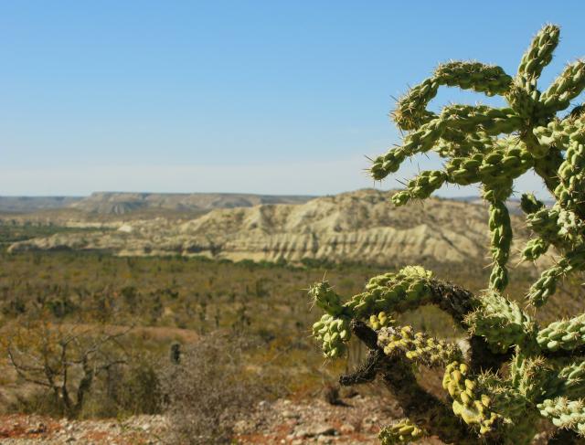 Valley north of La Paz