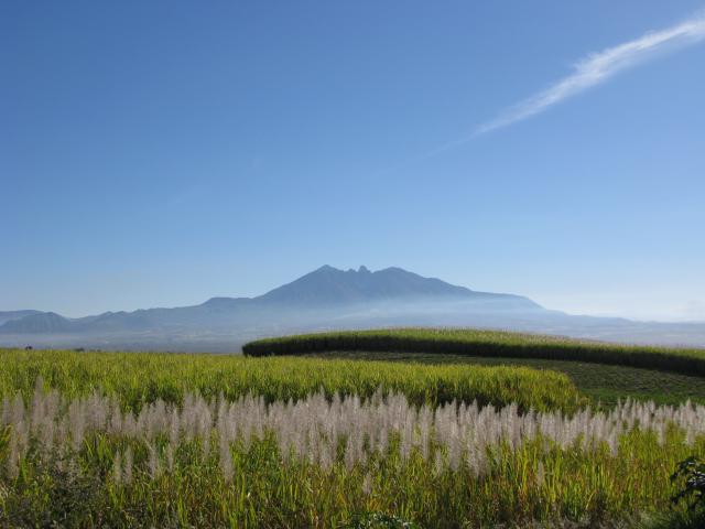 A misty morning near Tepic