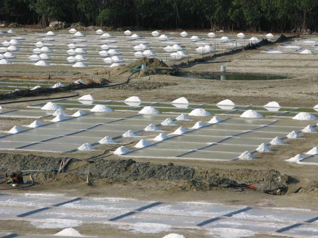 Sea Salt production