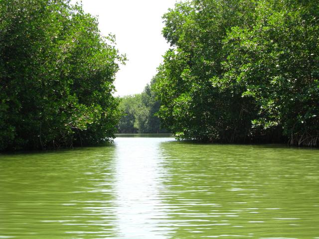 Touring one of the many coastal lagoons