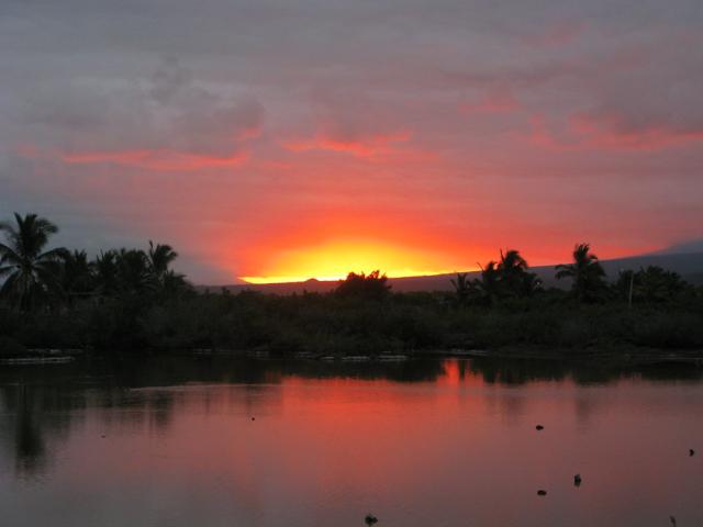 Galapagos: Sunset, what album would be complete without one?