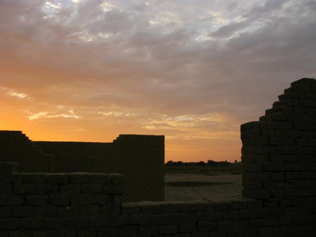 Farmland campsite