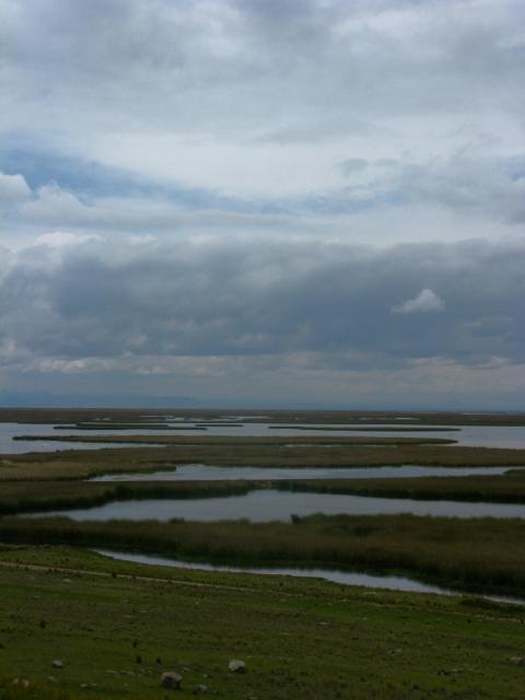 Pervian altiplano near Junin