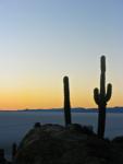 Incawasi, Salar de Uyuni