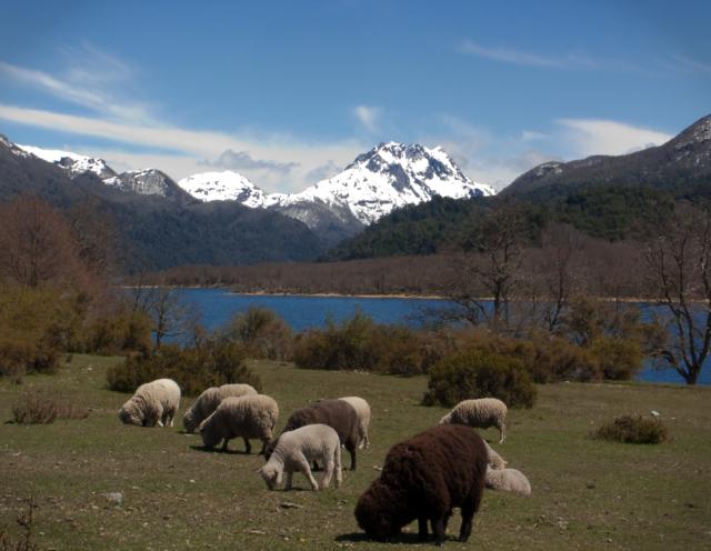 Argentina: South of San Martin de los Andes