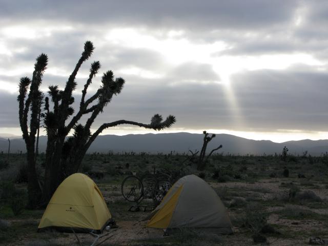 Dry camping in la valle de los cirios