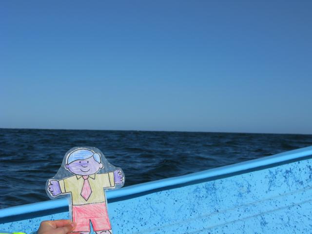 Flat Stanley goes whale watching