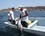 Fishermen with tuna