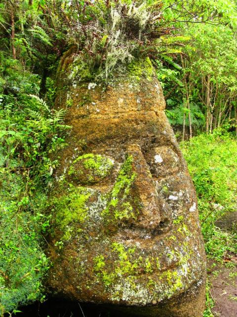 Galapagos: face carved by pirates