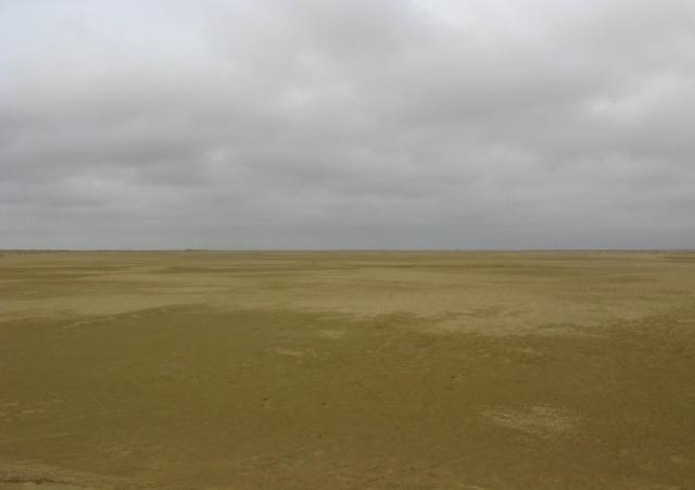 Sechura Desert